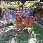 ΑΡΧ.ΑΓΡΟΚΤΗΜΑ - ΨΩΜΙ (1)