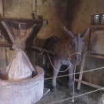 1930, 174,0,284,256,628,344,95